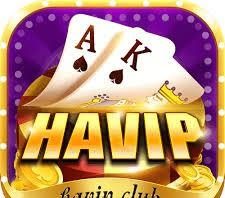Ấn tượng của bạn về Havip Club là gì?