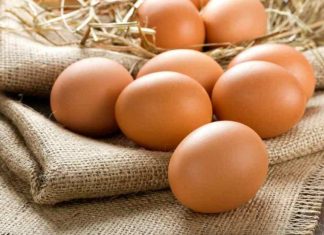 Chọn trứng gà đẻ được 1 tuần để luộc